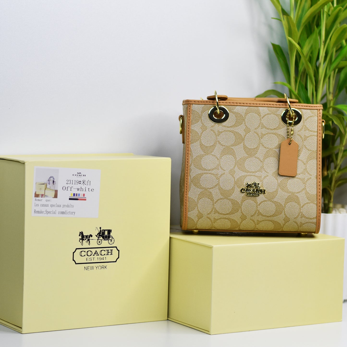 Coach Bag